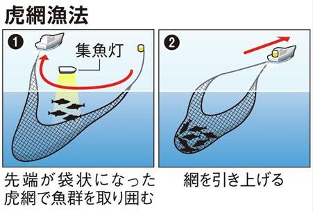 虎網漁法
